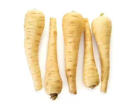 Panais
